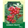Sorbus Fruits